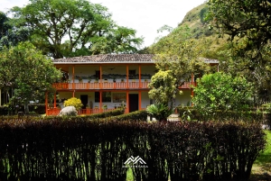 Udforsk Tierradentro: en rejse til hellige grave og landskaber