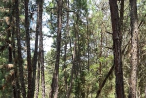 メデジンでのエクストリーム・クアトロバイク・アドベンチャー