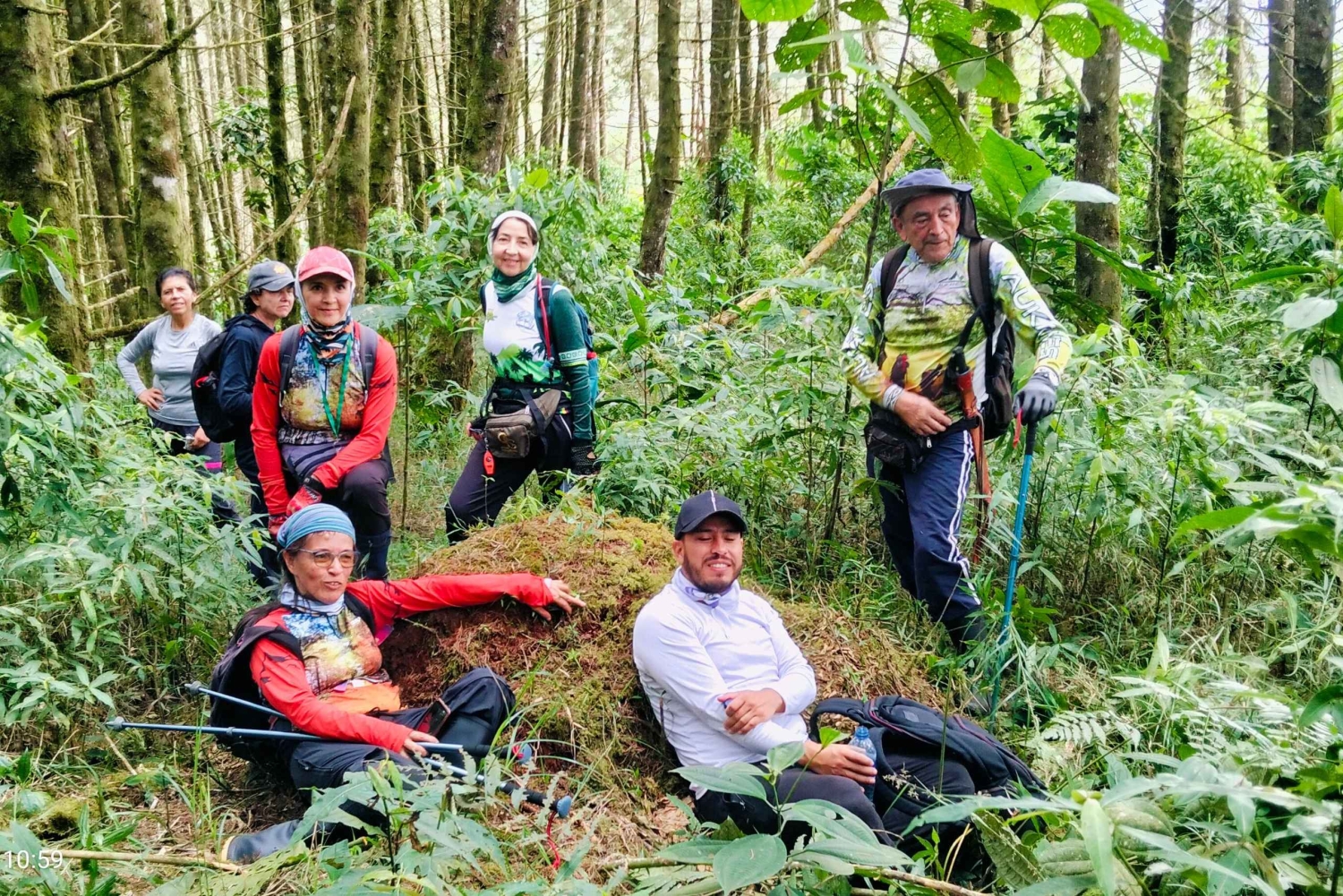 Filandia: wandelen in Yarumal en het kleurrijke dorp + apen spotten