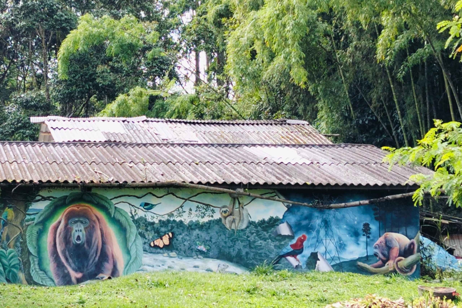 Filandia: wandelen in Yarumal en het kleurrijke dorp + apen spotten