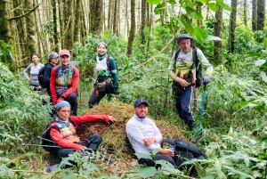 Filandia: wandelen in Yarumal en het kleurrijke dorp + apen spotten