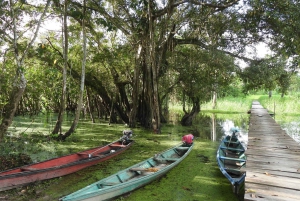 Flor de Loto Nature Reserve Day Tour