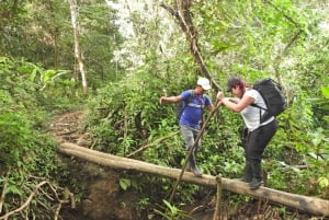 Flor de Loto Nature Reserve Day Tour