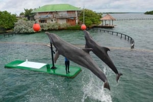 Freedom Beach - Barú + Oceanarium + Plankton