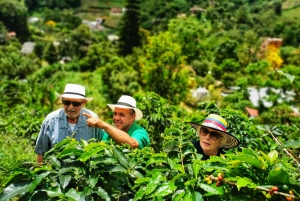 Из Боготы: 5-часовая экскурсия по кофейной ферме с гидом — все включено