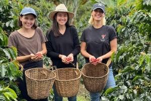 From Bogota: 5 hour guided coffe farm tour - All included