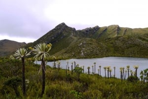 From Bogota: Chingaza National Park Eco Tour
