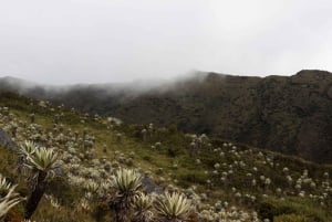 De Bogotá: Tour particular de um dia ao Parque Nacional Chingaza