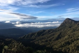 De Bogotá: Tour particular de um dia ao Parque Nacional Chingaza