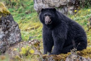 De Bogotá: Tour particular de um dia ao Parque Nacional Chingaza