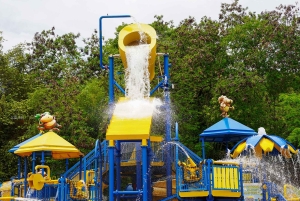 Из Боготы: окунитесь в мир веселья в аквапарке Piscilago!