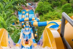 From Bogotá: Dive into Fun at Piscilago Water Park!