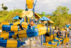 From Bogotá: Dive into Fun at Piscilago Water Park!