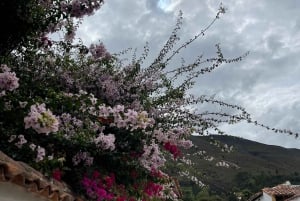 ボゴタ：ヴィラ デ レイバ ラキラ ポソス アズレスなどへのツアー