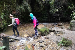 Desde Bogotá: paseo a la cascada más elevada de Colombia