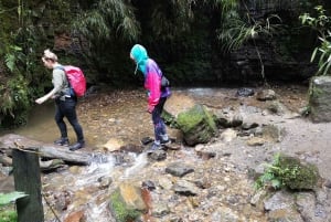 コロンビアで最も高い滝：ラ・チョレラハイキング