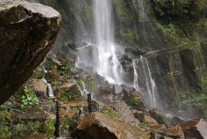 コロンビアで最も高い滝：ラ・チョレラハイキング
