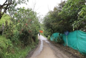 コロンビアで最も高い滝：ラ・チョレラハイキング