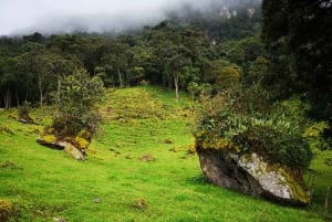 コロンビアで最も高い滝：ラ・チョレラハイキング