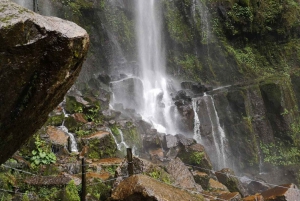 From Bogota: Hike to Colombia's Highest Waterfall