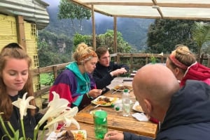 From Bogota: Hike to Colombia's Highest Waterfall
