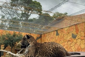 De Bogotá: Parque Jaime Duque e zoológico com ingresso incluído
