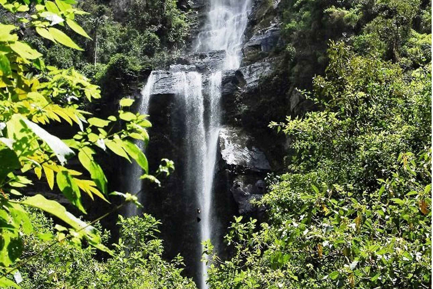 Из Боготы: Поход с гидом к водопаду Ла Чоррера