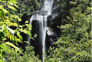 Из Боготы: Поход с гидом к водопаду Ла Чоррера