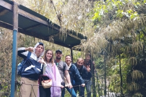 Из Боготы: Поход с гидом к водопаду Ла Чоррера