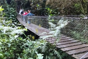 Из Боготы: Поход с гидом к водопаду Ла Чоррера