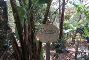 From Bogotá: La Coloma Coffee Farm Private Day Trip