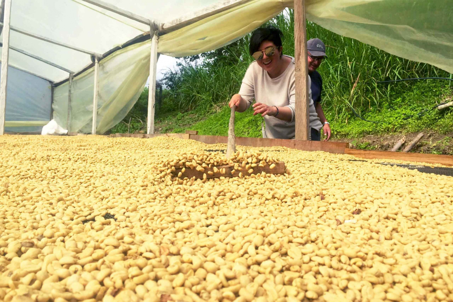From Bogotá: Private Coffee Farm Full-Day Tour