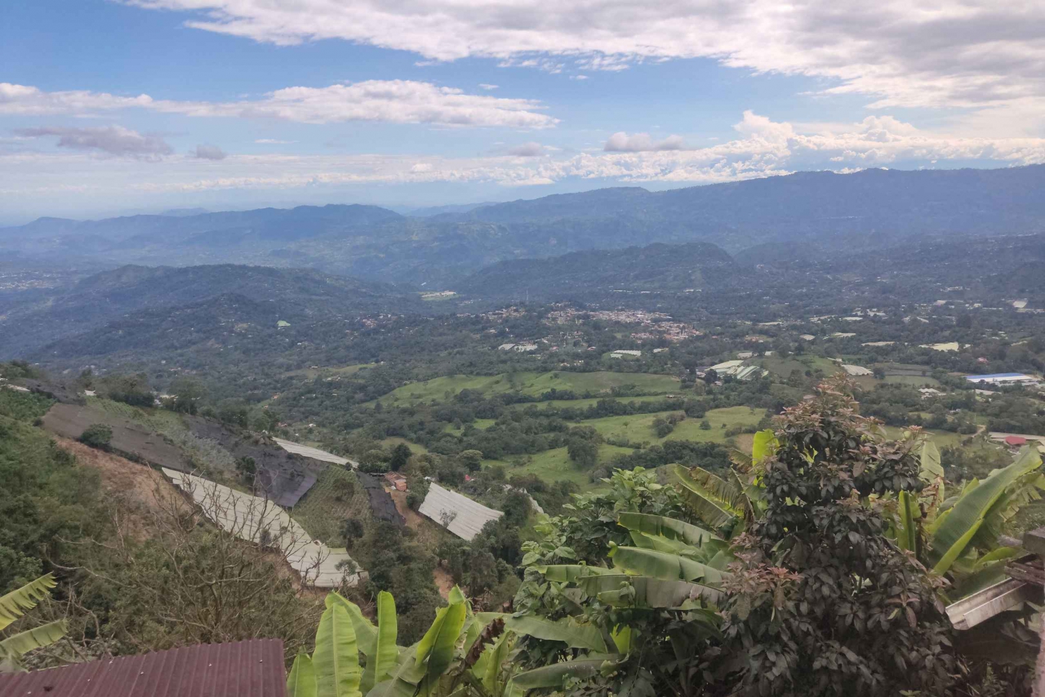 From Bogota: Tour to a Marihuana organic Farm.