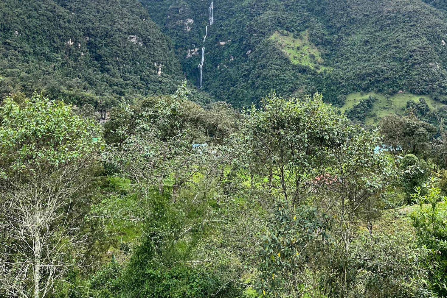 Z BOGOTY: Wycieczka do La Chorrera, najwyższego wodospadu w Kolumbii.