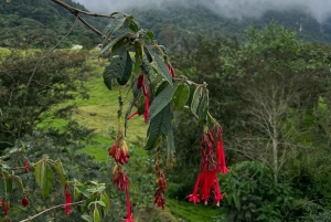 FROM BOGOTA: Tour to La Chorrera, the highest waterfall in Colombia.