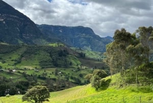 FROM BOGOTA: Tour to La Chorrera, the highest waterfall in Colombia.
