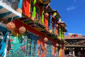 ボゴタ：ヴィラ デ レイバ ラキラ ポソス アズレスなどへのツアー