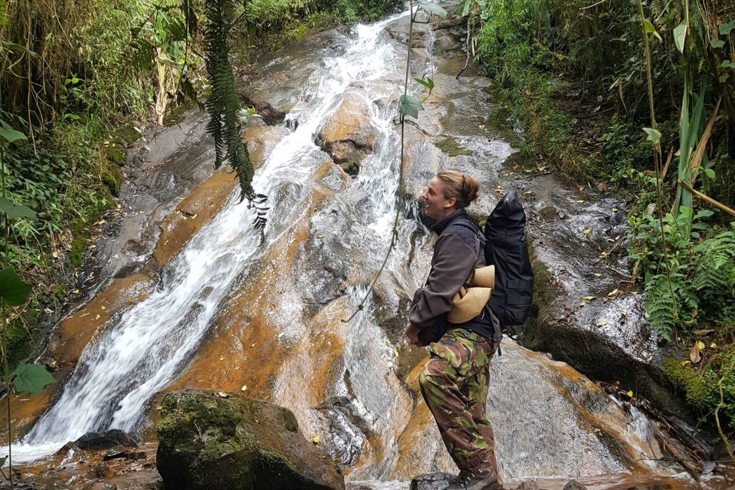 ボゴタ発：アンデスのチョアチクマ小屋へのトレイル