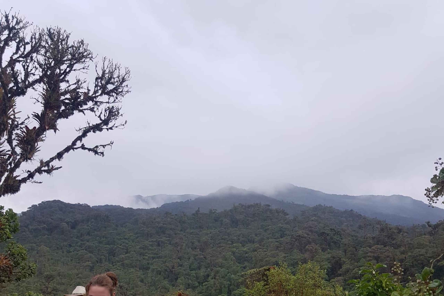 ボゴタ発：アンデスのチョアチクマ小屋へのトレイル