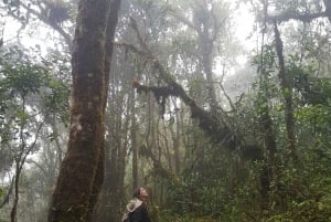 ボゴタ発：アンデスのチョアチクマ小屋へのトレイル