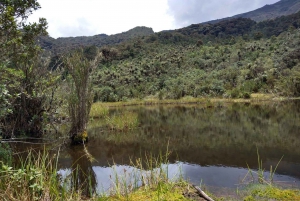 ボゴタ発：アンデスのチョアチクマ小屋へのトレイル