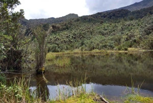 ボゴタ発：アンデスのチョアチクマ小屋へのトレイル