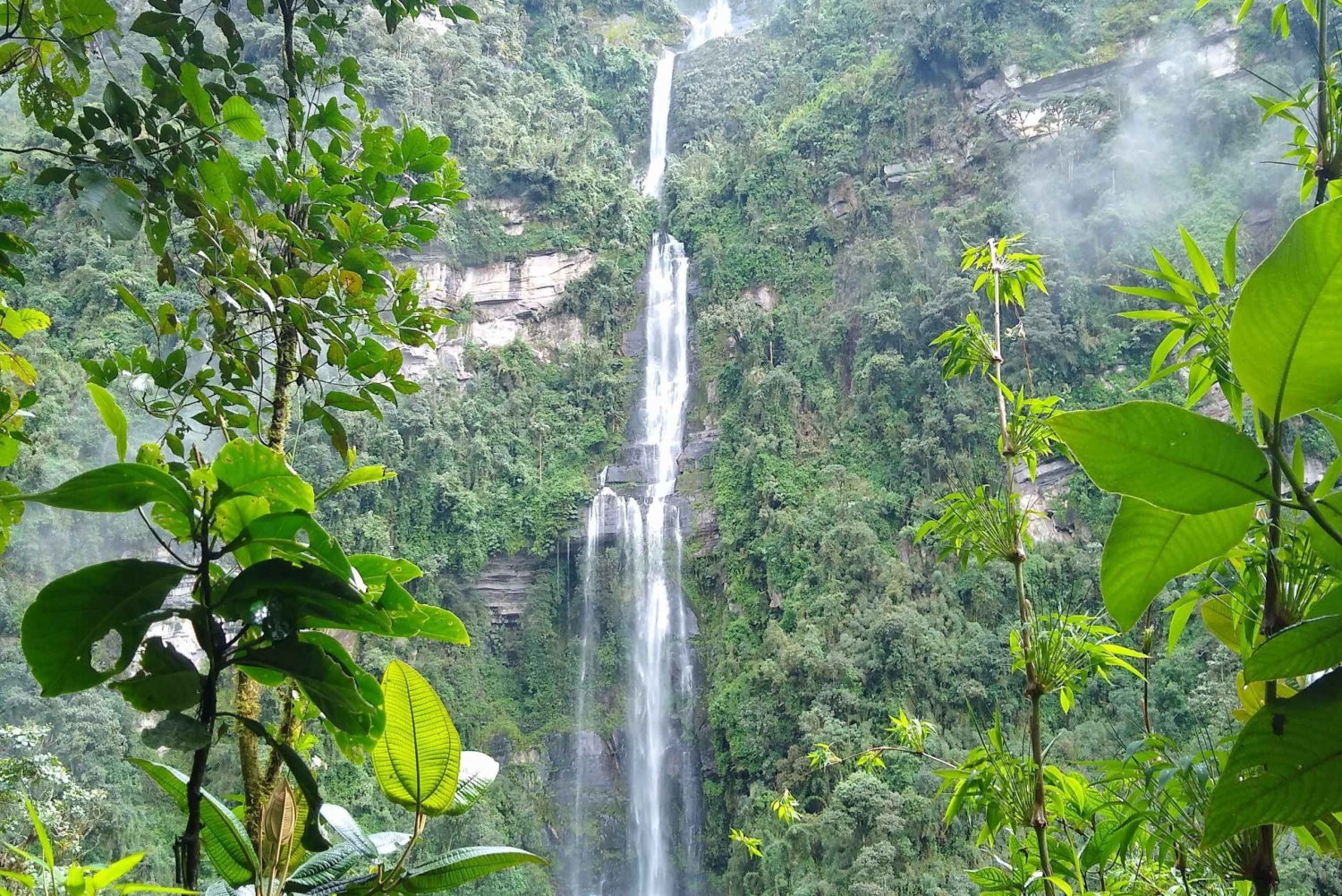 From Bogotá: Visit and hike to La Chorrera Waterfall