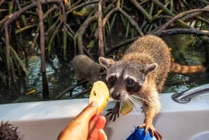 カルタヘナ発：5つの島でスノーケリング、ビーチ、ビュッフェランチ付き