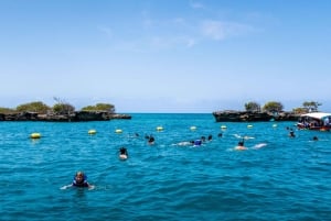 カルタヘナ発：5つの島でスノーケリング、ビーチ、ビュッフェランチ付き