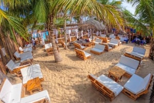 From Cartagena: Baru and Playa Blanca Full-Day Mangrove Tour