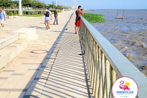 Desde Cartagena. Descubre Barranquilla: La ciudad del carnaval y la alegría