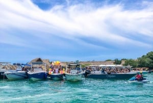 From Cartagena: Full Day Guided Tour to Cholon Island