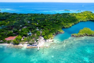 Depuis Carthagène : Visite d'une jounée des îles Rosario et de l'océanarium