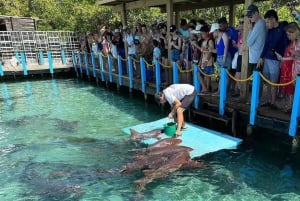 Z Cartageny: Całodniowa wycieczka po wyspach Rosario i oceanarium